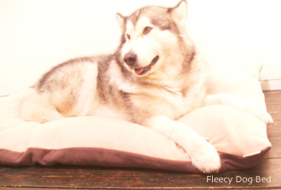 フリーシードッグベッド／犬用ベッド